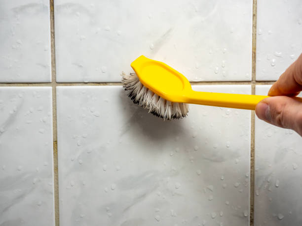 Best Certified Mold Removal  in Fort Wright, KY